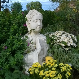Un Bouddha sur la terrasse apporte la Sérénité, la Paix.